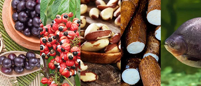 WEBINAR - ALIMENTOS E BEBIDAS DA AMAZÔNIA LEGAL - OPORTUNIDADES E APELOS GLOBAIS - AGOSTO 2022