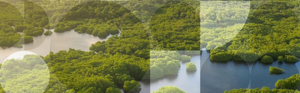 Social & Environmental Infrastructure in Brazil