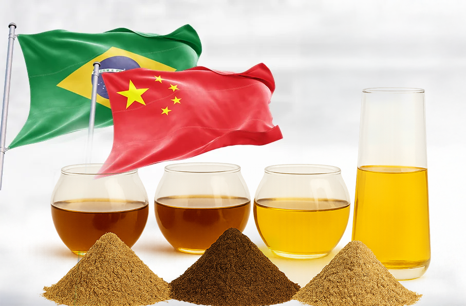 Brazilian Renderers intensifica agenda na China com encontros institucionais e comerciais