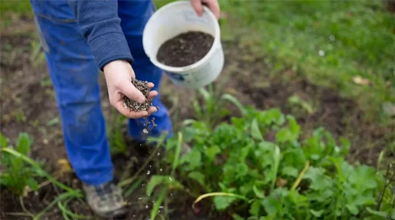 ApexBrasil e CropLife lançam projeto setorial com foco em Bioinsumos  