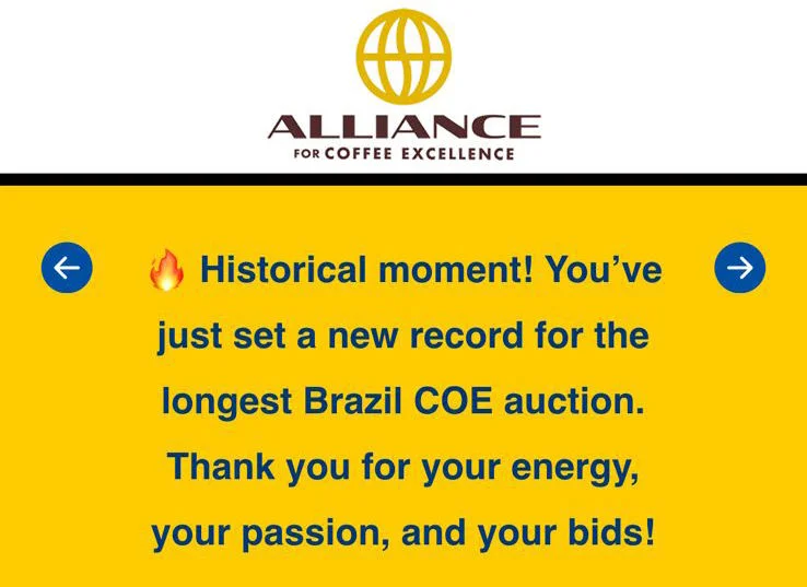 Café especial: leilão do Cup of Excellence tem receita total de R$ 1,8 milhão