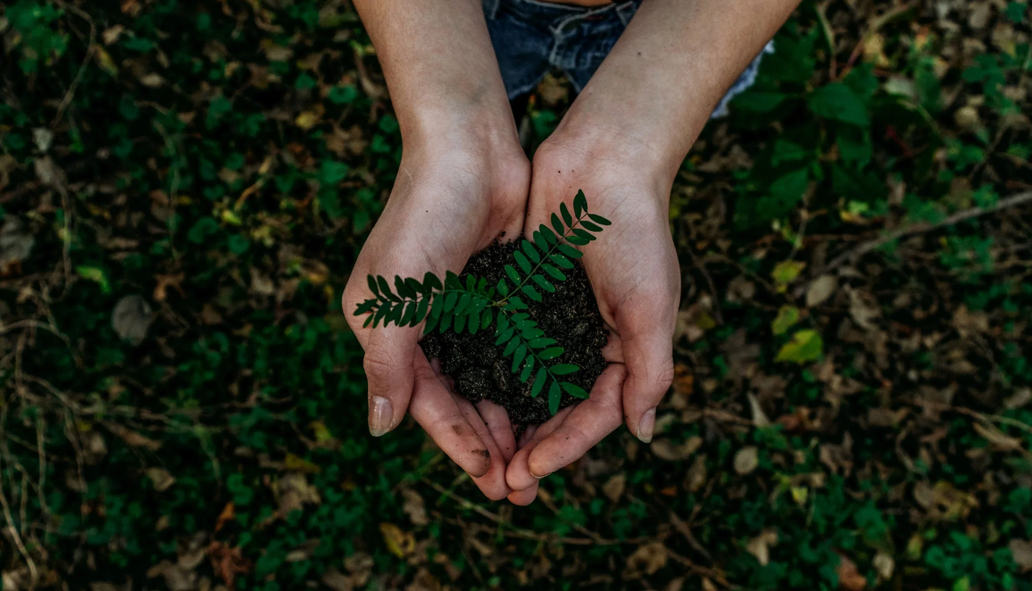 ApexBrasil institui Comitê ESG e reafirma compromisso com os objetivos do desenvolvimento sustentável da ONU