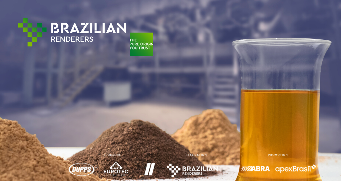 Brazilian Renderers 