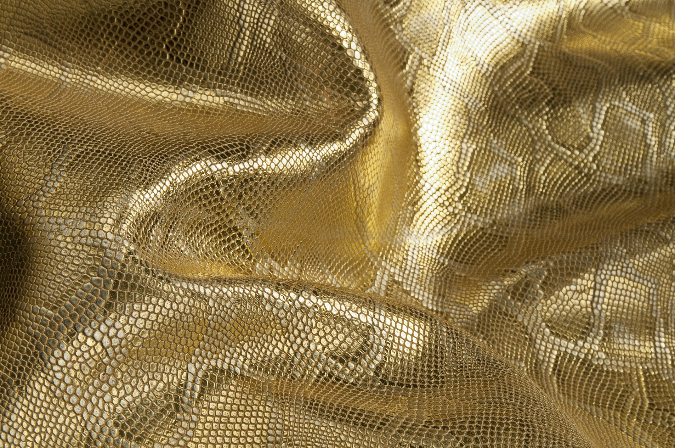 Couro brasileiro: mais de US$ 25 milhões em perspectivas de negócios após feiras no Vietnã e Estados Unidos