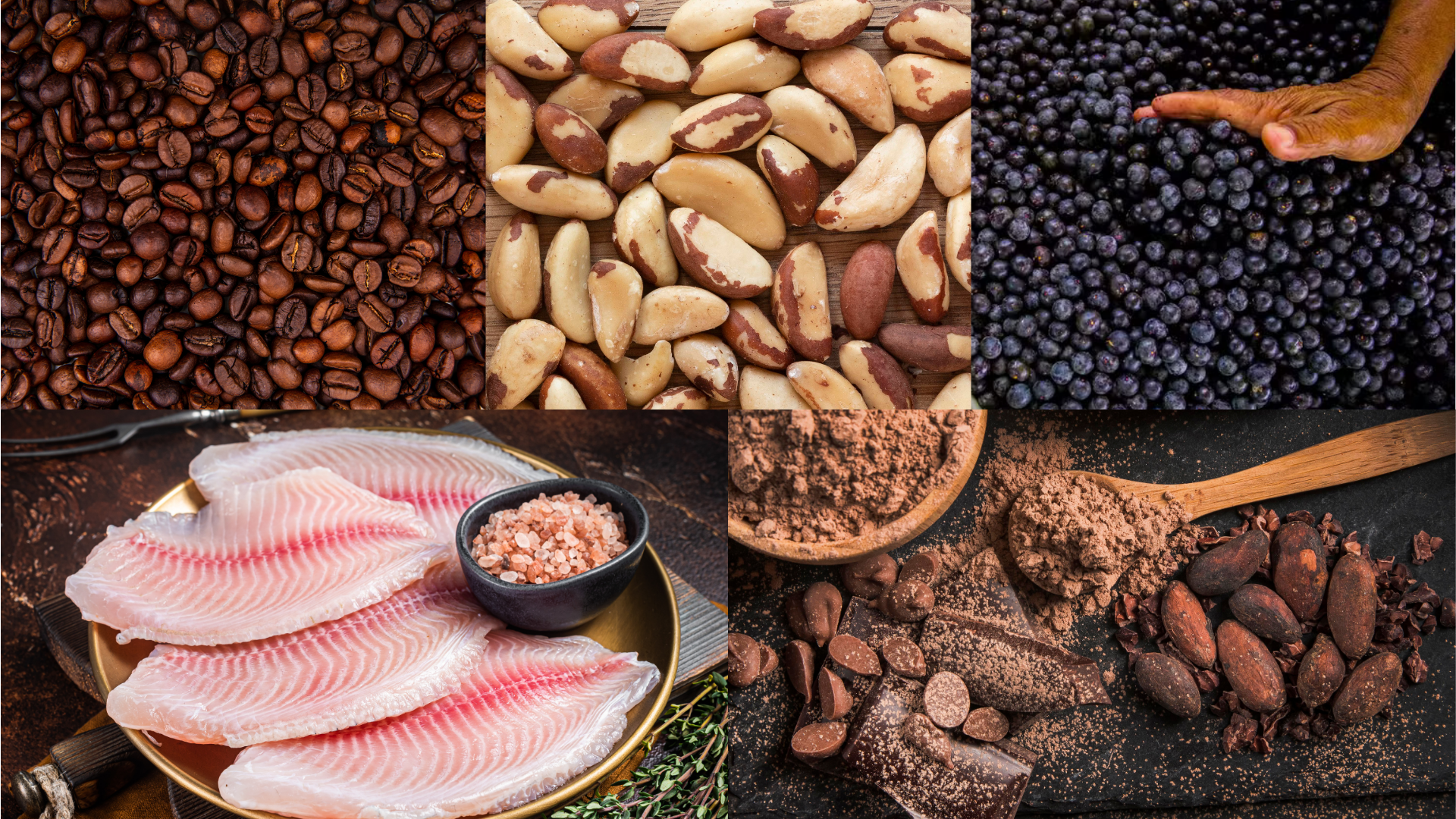 Apesar de abrigar a maior floresta tropical do mundo, Brasil responde por só 1% do comércio global de produtos compatíveis com a floresta, afirma Jorge Viana, presidente da ApexBrasil