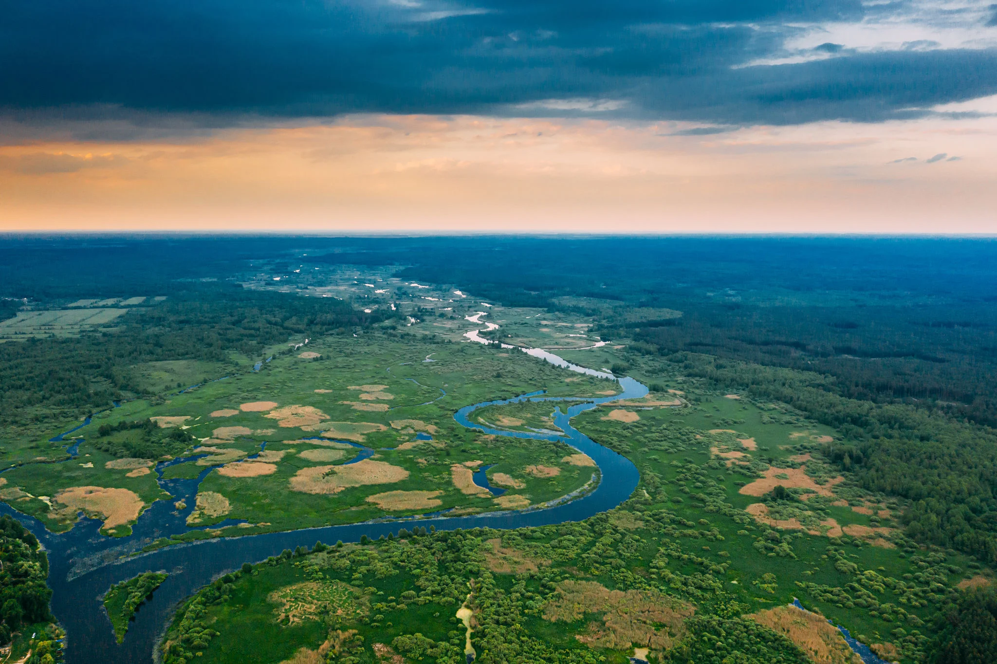 Semana da Amazônia reforça o papel da bioeconomia amazônica para o desenvolvimento sustentável global
