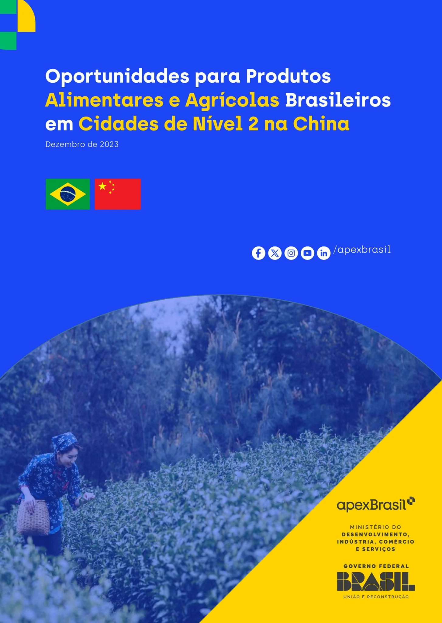 OPORTUNIDADE DE MERCADO - CHINA - ALIMENTOS E BEBIDAS - 2024