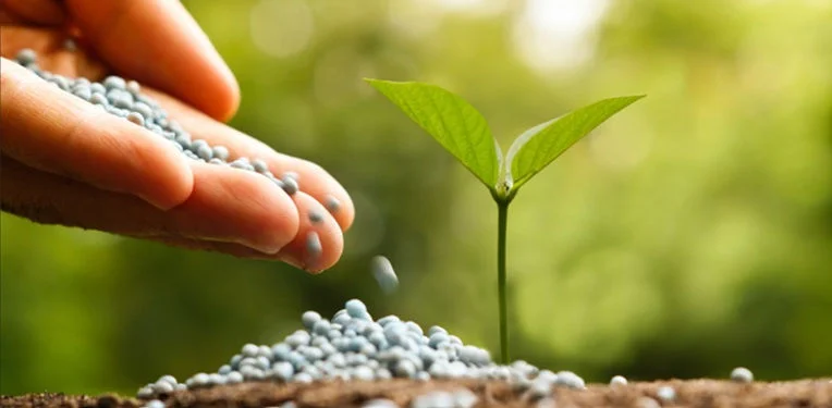 ApexBrasil e MAPA promovem workshop inédito para discutir atração de investimentos no setor de fertilizantes