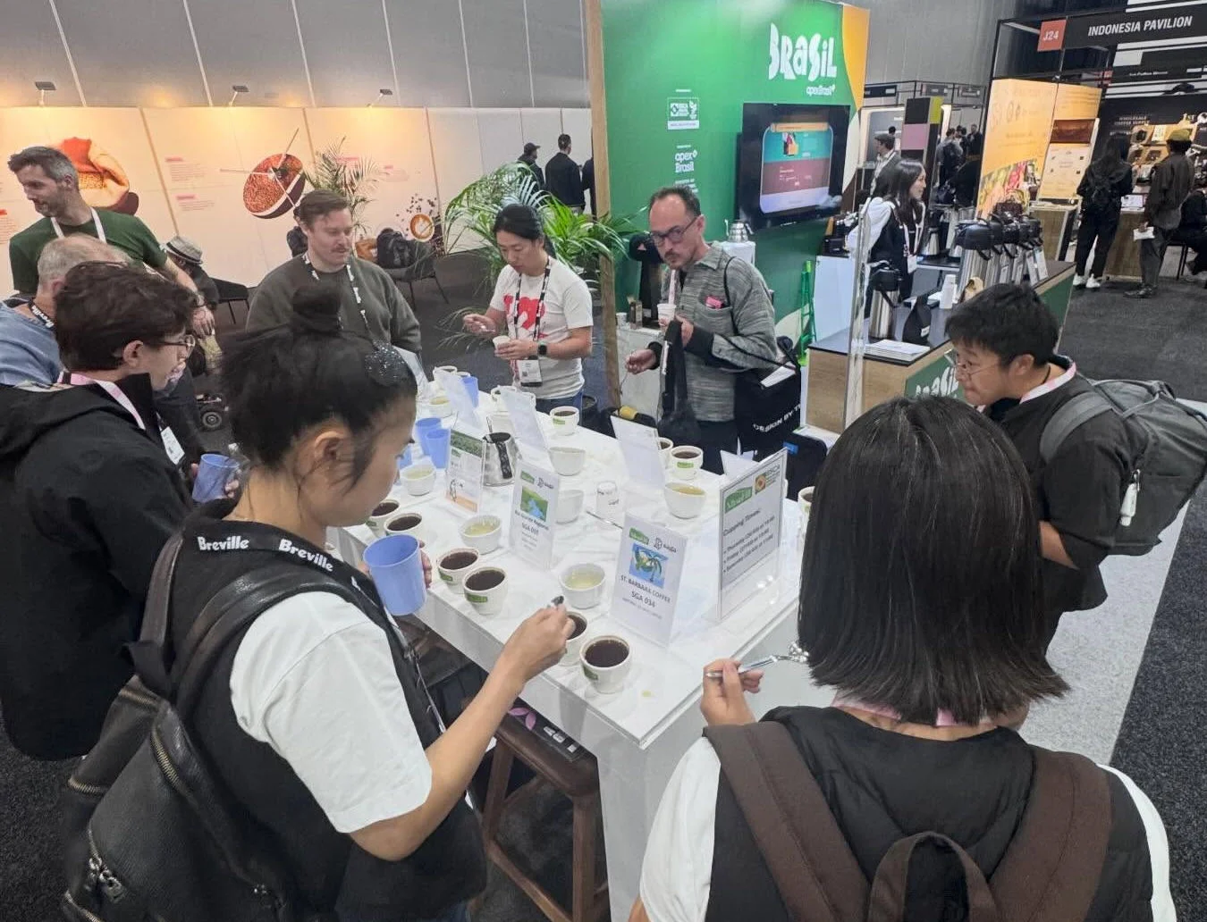 Setor de cafés especiais do Brasil espera receber US$ 17,5 mi após feira na Austrália