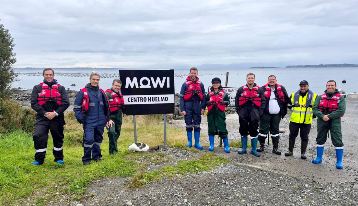 Brazilian Renderers visita uma das operações de salmão mais avançadas do mundo, no Chile