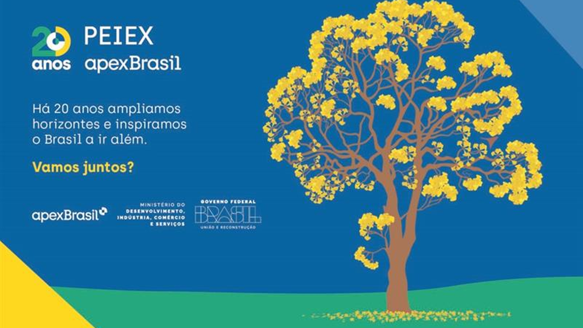 ApexBrasil celebra 20 anos do Programa de Qualificação para Exportação que já capacitou mais de 30 mil empresas de Norte a Sul do país 