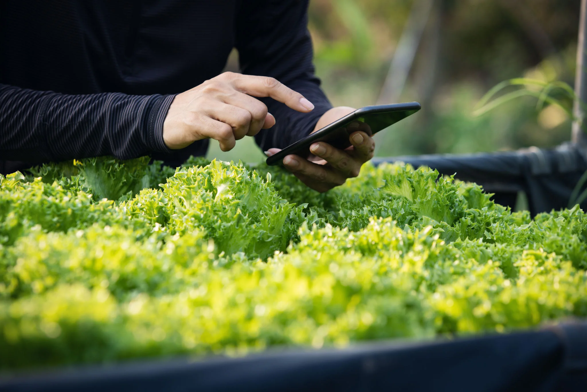 ApexBrasil e THRIVE selecionam oito agritechs para imersão no Vale do Silício e participação no World Agri-Tech Innovation Summit