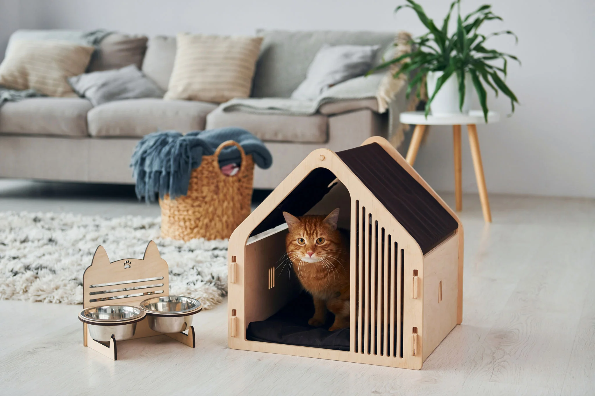 Apexbrasil organiza Rodada Virtual de Produtos PET na Eurásia