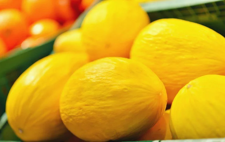 Exporta Mais Brasil: ApexBrasil busca ampliar exportações de frutas frescas durante evento em Mossoró (RN) 