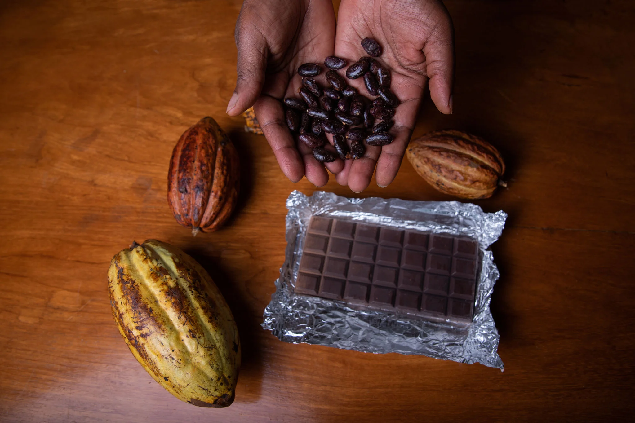Inscrições prorrogadas: Exporta Mais Brasil: empresas do setor de cacau e chocolates podem se inscrever para rodada de negócios em Ilhéus (BA)