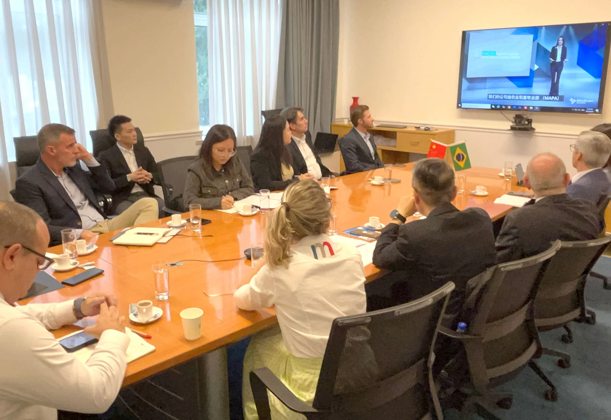 Brazilian Renderers estreita diálogo com CFIA, associação do setor de ração animal da China