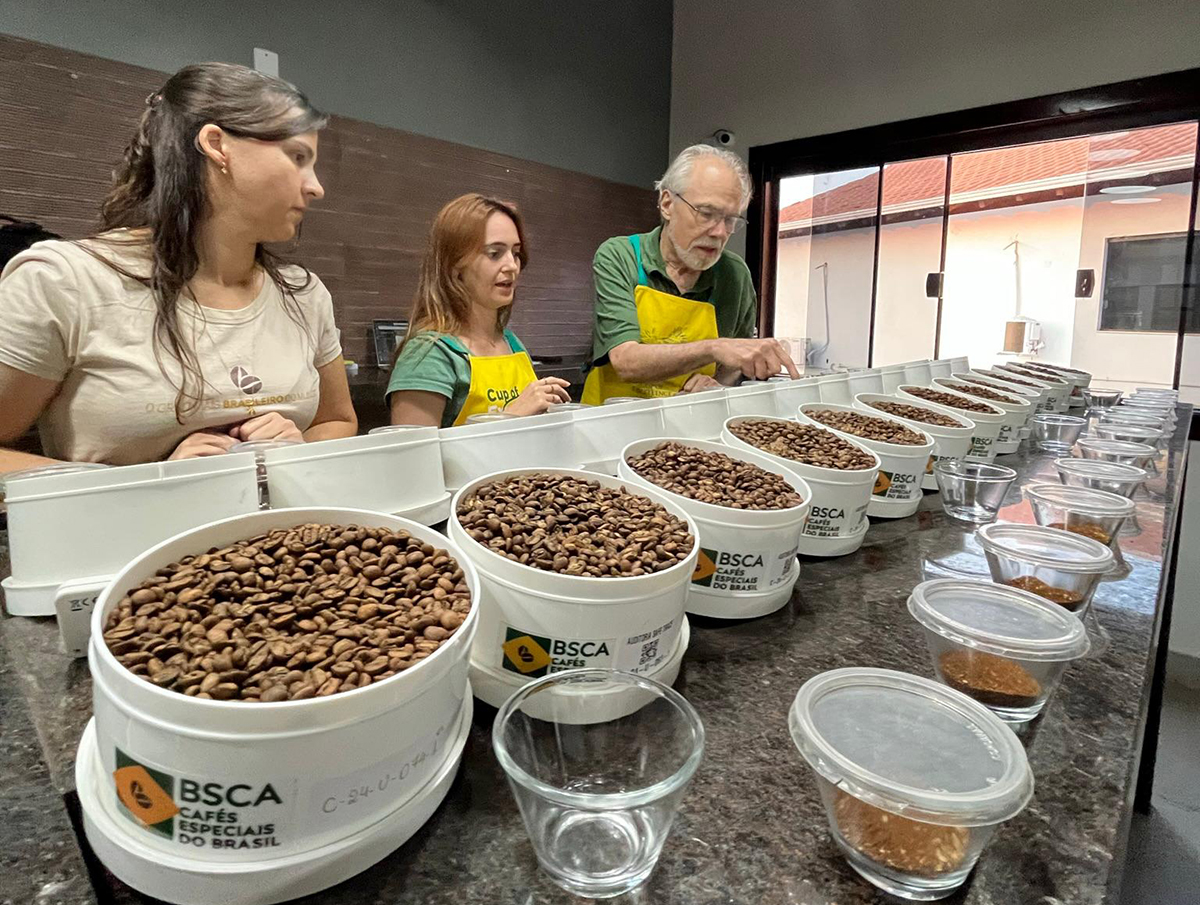 Café especial: celebrando 25 anos, CoE classifica 142 amostras para Fase Nacional