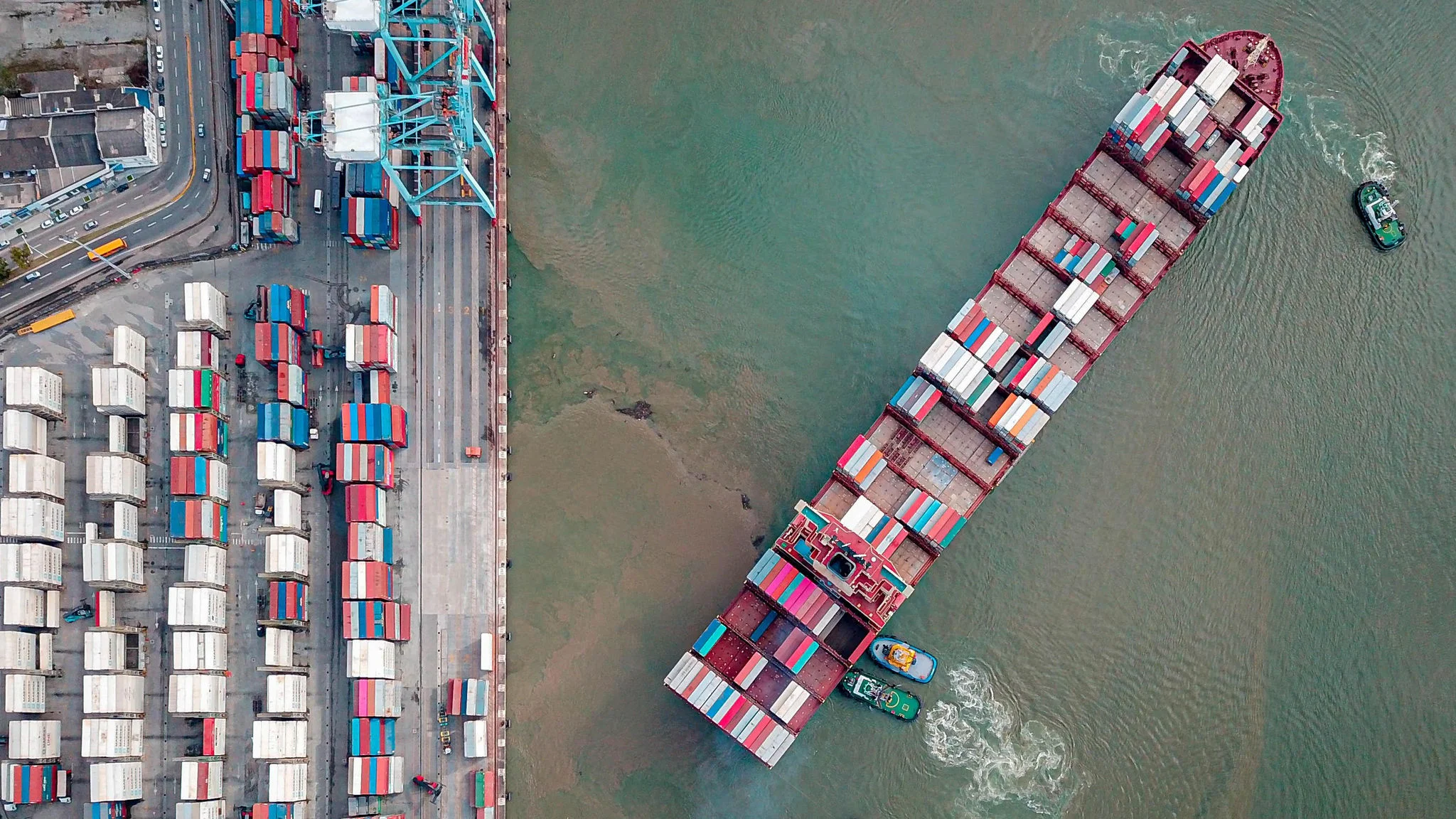 Exportações do setor pet brasileiro crescem 54% em dez anos