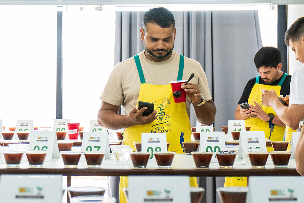 Café especial: Cup of Excellence define amostras para fase internacional