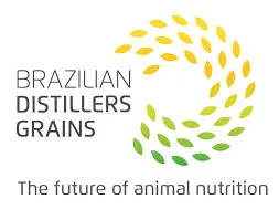 Brazilian Distillers Grains 