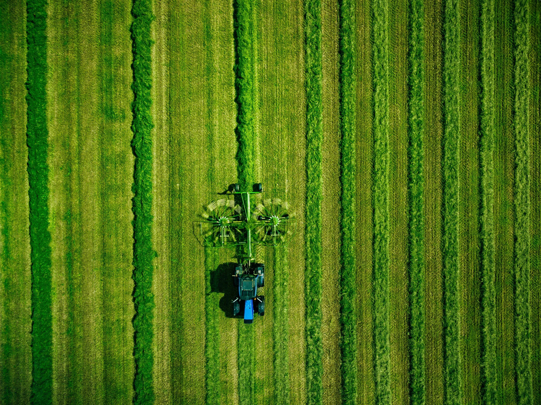 I Encontro Nacional do Agro discutirá o futuro internacional do agronegócio brasileiro