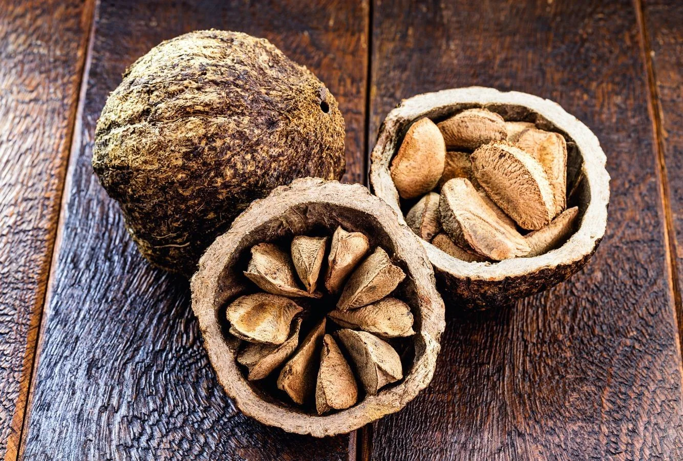 Assintecal e ApexBrasil lançam missão de biomateriais no Acre 