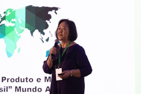Ângela Hirata apresentando o case das Havaianas Foto:foto_grafista