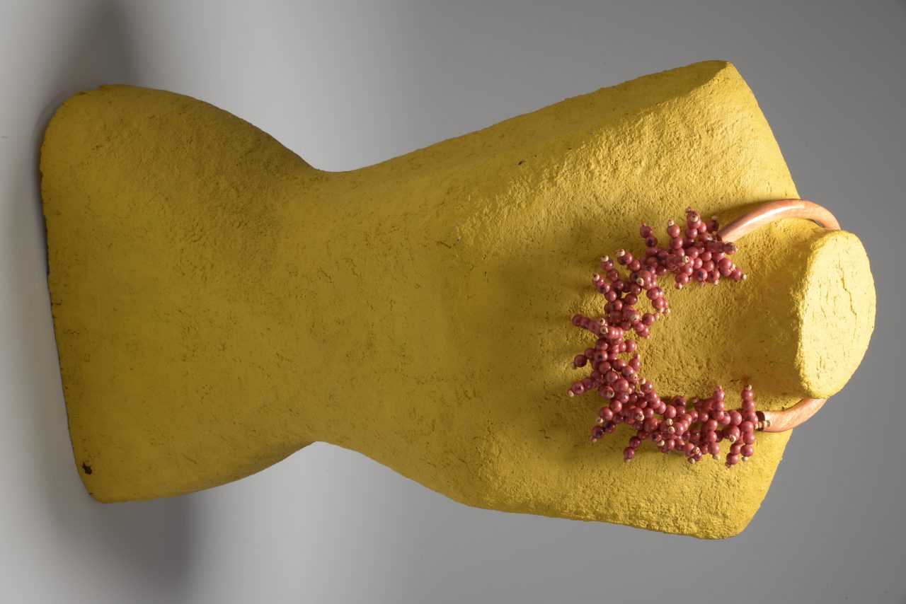 COLAR VERMELHO - Artesã Márcia Lima - Criare Biojoias - Rio Branco (AC)