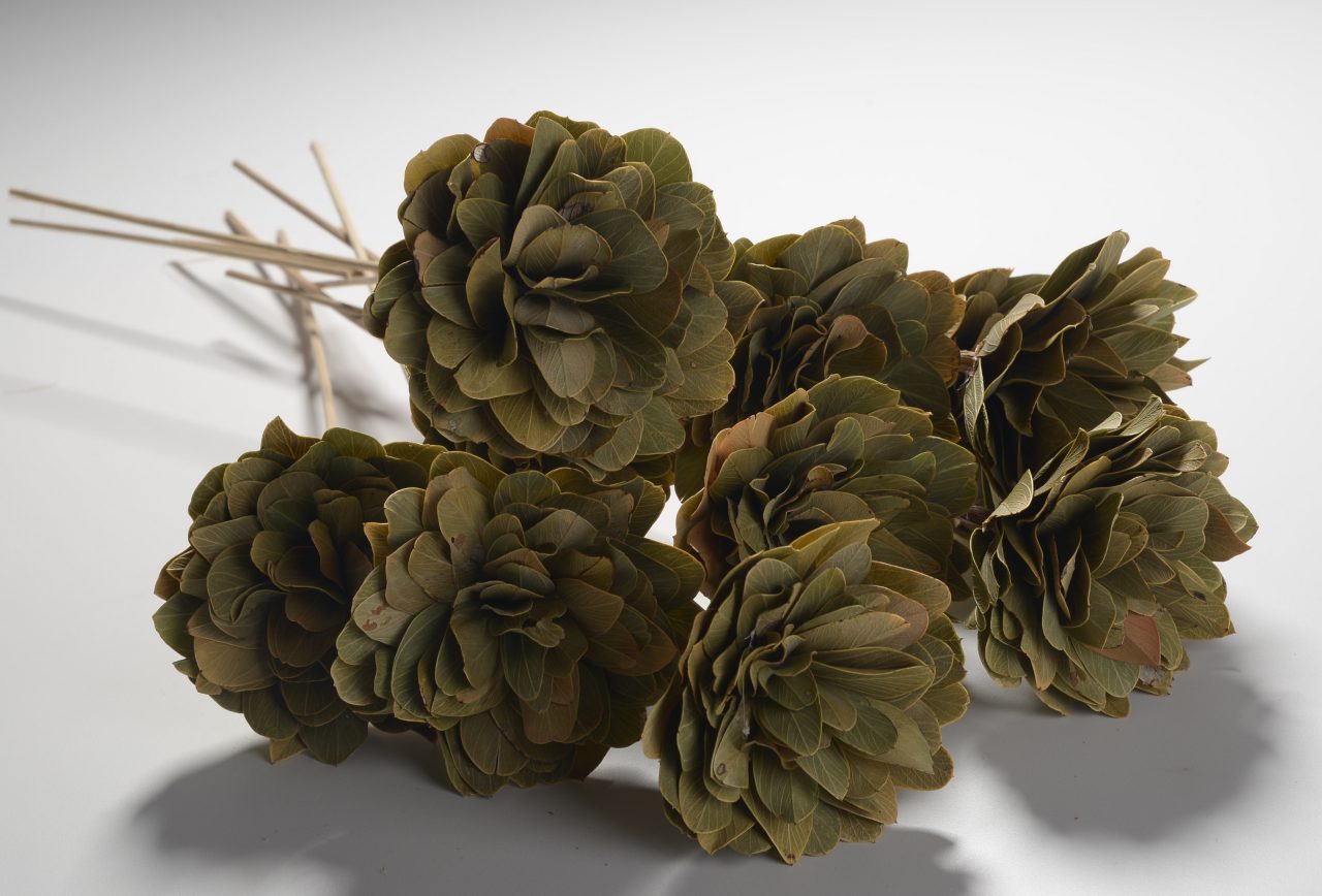 CONJUNTO DE FLORES - Artesã Ivanilde Reis de Nascimento - Eterna Flora - Arte do Cerrado - Alexânia (GO) Foto: Divulgação ApexBrasil