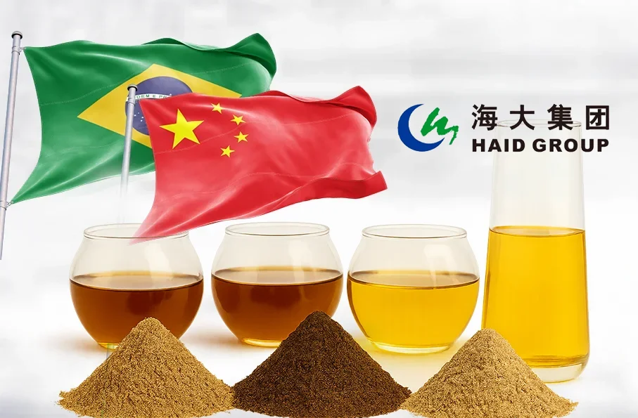 Gigante do agro chinês demonstra interesse na reciclagem animal brasileira