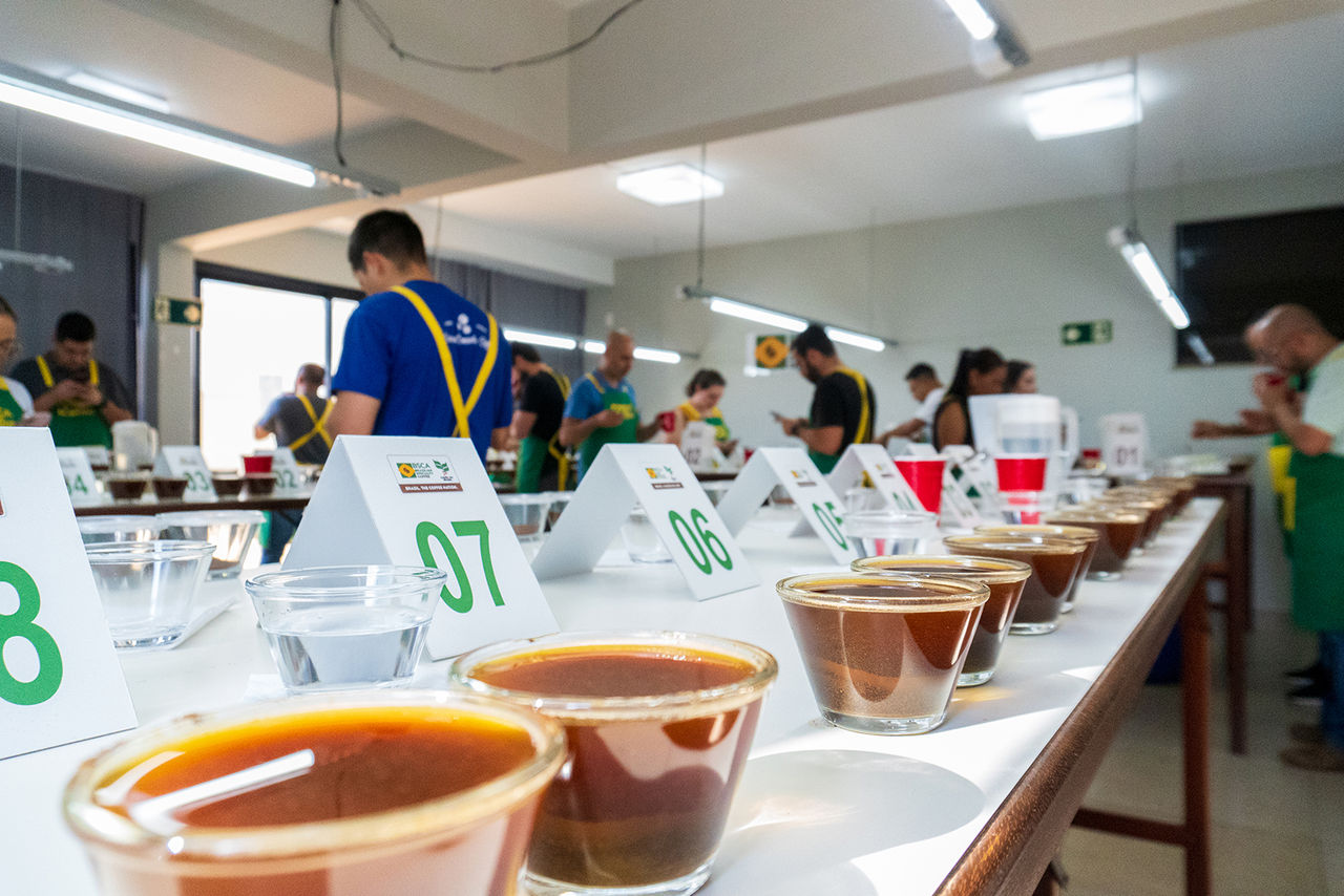 Café especial: Cup of Excellence 2024 está com inscrições abertas até 6 de setembro