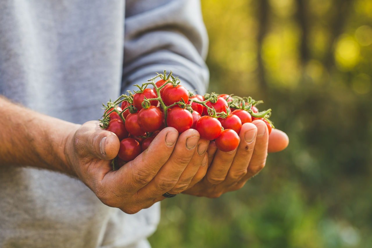 Biofach 2025: estão abertas as inscrições para a maior feira de produtos orgânicos da Europa 