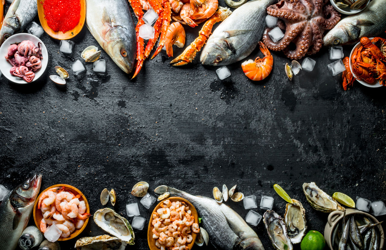 Seafood Expo Global 2025: Inscrições abertas para a maior feira de pescados do mundo!