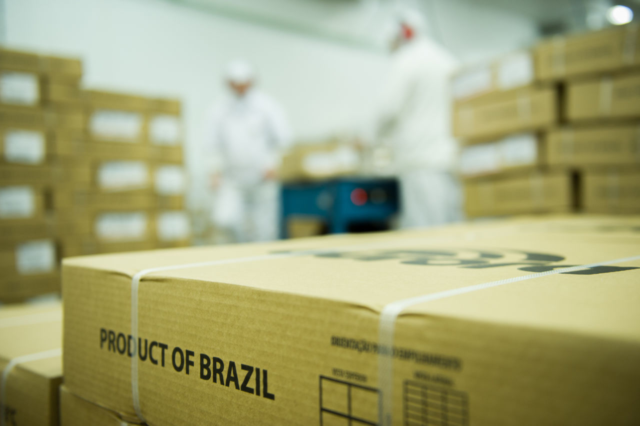 Dia do Avicultor: Brasil está no topo do ranking mundial de exportação de carne de frango pelo 18º ano consecutivo, responsável por 35% das exportações totais do produto no mercado global