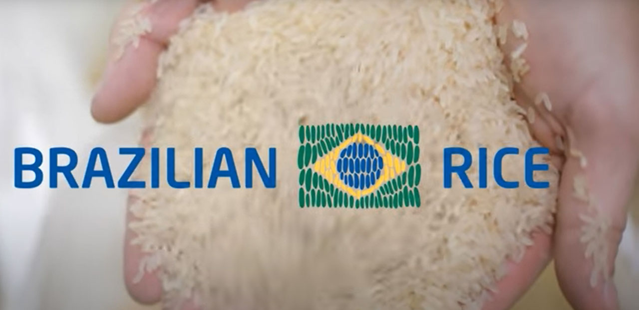 Projeto Brazilian Rice atrai indústrias interessadas em buscar mercado mundial