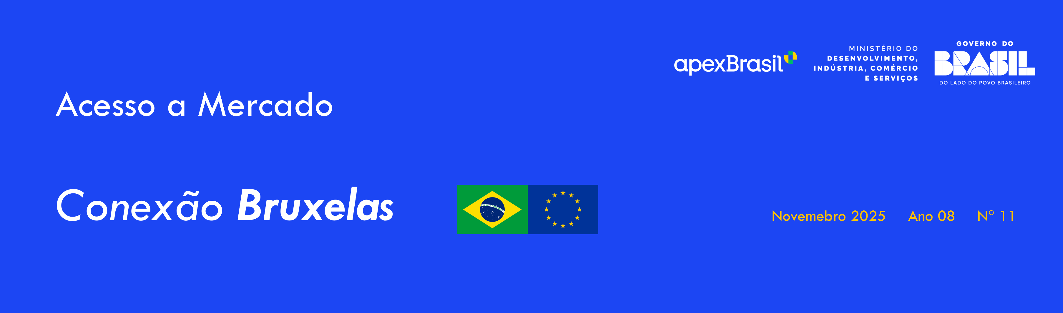 CONEXÃO BRUXELAS N° 11/2025