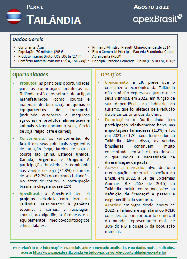 PERFIL TAILÂNDIA - 2022