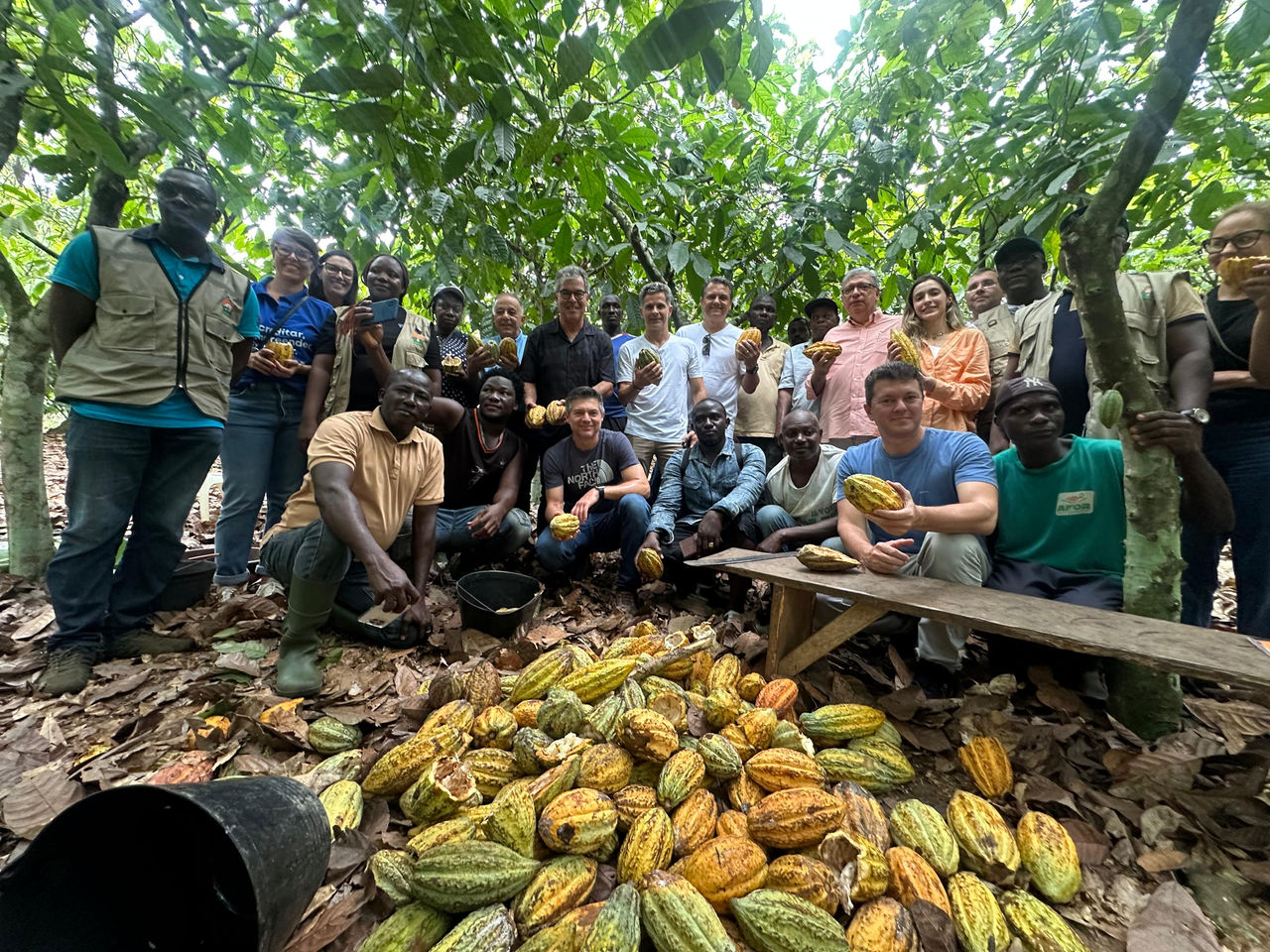 Em Gana e na Costa do Marfim, presidente da ApexBrasil propõe formação de grupo com os maiores produtores de cacau do mundo 